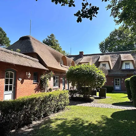 Sky & Homes Eiderente I Kleine Auszeit Unter Reet - Ruhig & Gemuetlich *