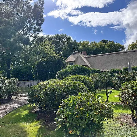 Apartmán Sky & Homes Eiderente I Kleine Auszeit Unter Reet - Ruhig & Gemuetlich Sankt Peter-Ording