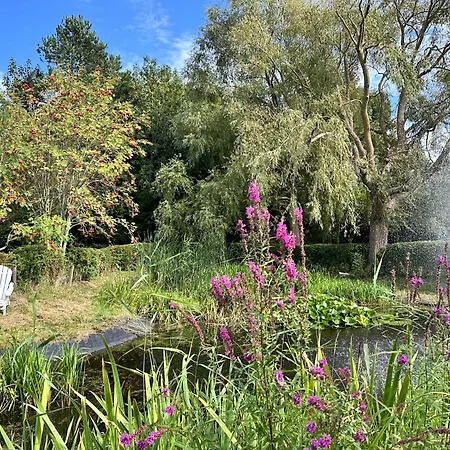 Sky & Homes Eiderente I Kleine Auszeit Unter Reet - Ruhig & Gemuetlich ザンクト・ペーター・オルディング